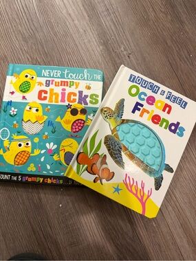 Set of 2 Colorful Children's Board Books - Grumpy Chicks & Ocean Friends